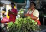 1月20日，在泰国曼谷的派克隆花市，鲜花商贩准备出售鲜花。