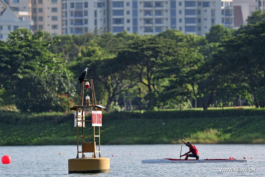 In Singapore, wild animals can still be found in the city centre or suburb in despite of its rapid economic development and urbanization since Singapore's independence in 1965.