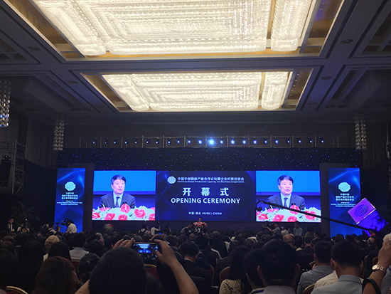 Forum on Global Production Capacity and Business Cooperation Held in Wuhan