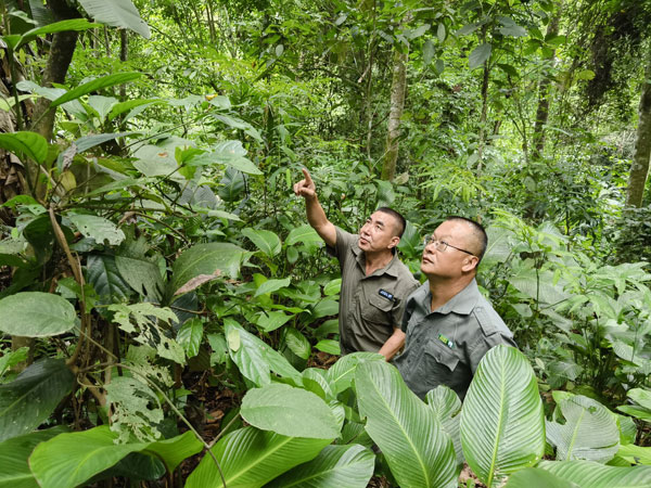 China, Laos unite to boost wildlife protection