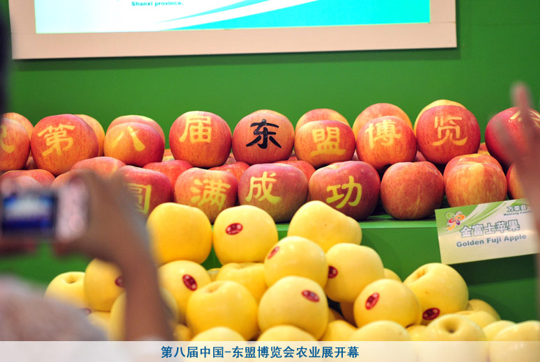 第八届中国-东盟博览会农业展开幕