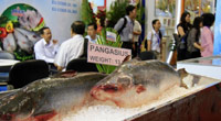 Vietnam holds int'l fisheries expo to promote production, export