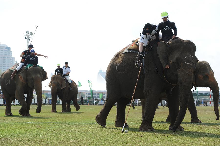 泰国曼谷举办第15届“国王杯”大象马球赛