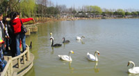 Shanghai Wildlife Park